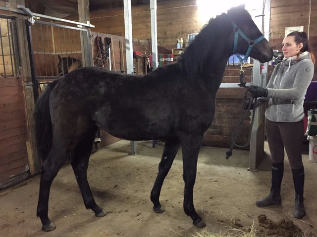 Foto mars 2016 Diamonds Caviisi LH