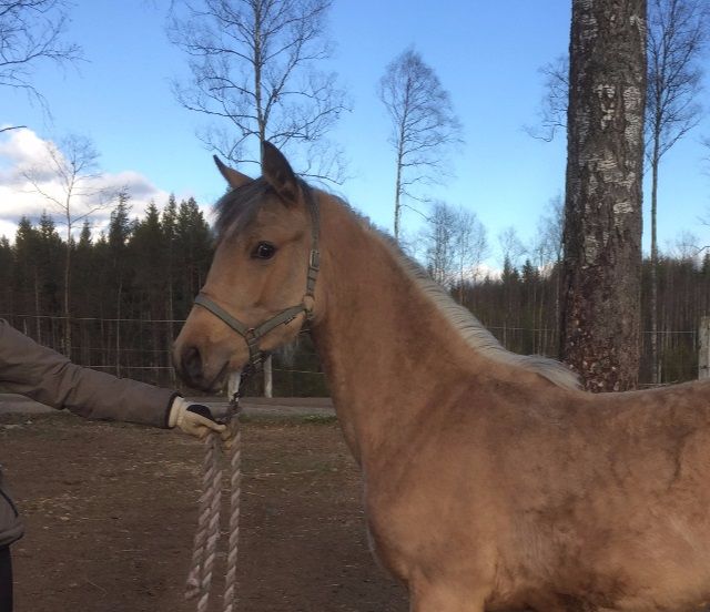 Bild från april 2017