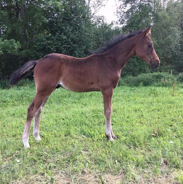 Foto 170627 alltså 2½ månad gammal