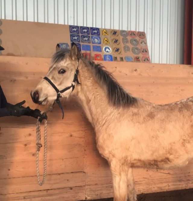 Bild 20180127